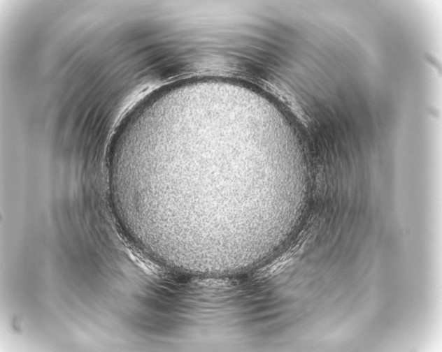 X0000093441027200711021050