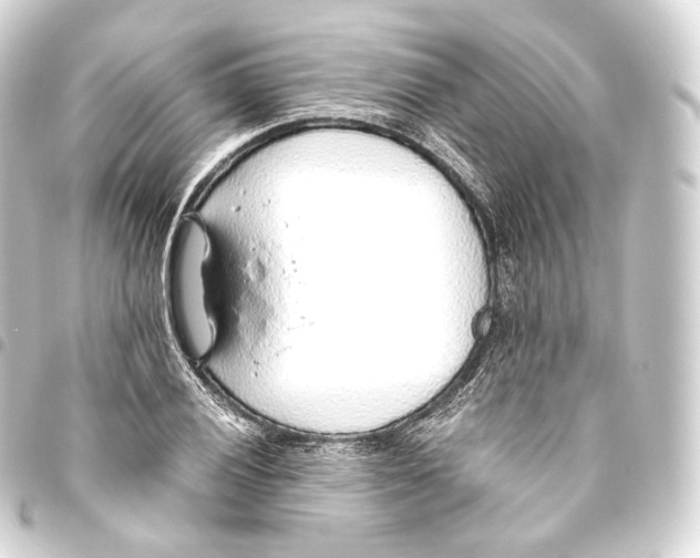 X0000093441028200711021050