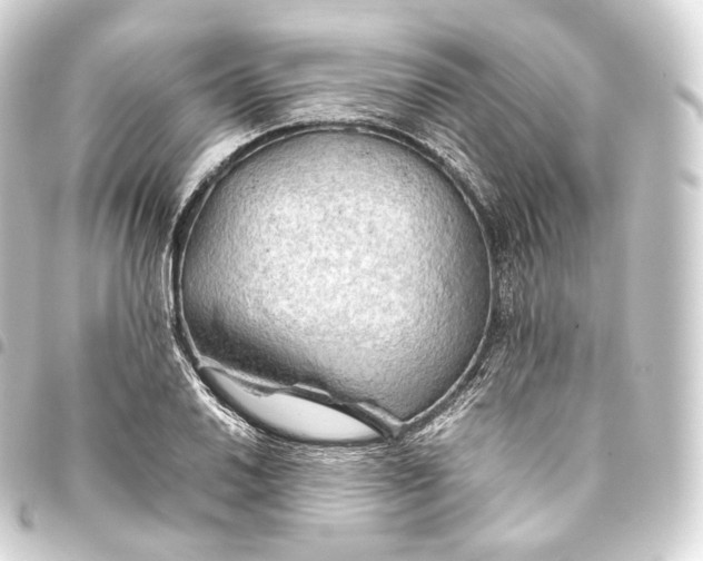 X0000093441030200711021050