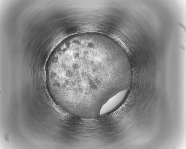 X0000093441031200711021050