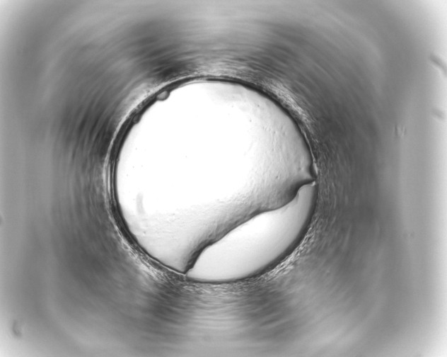 X0000093441032200711021050