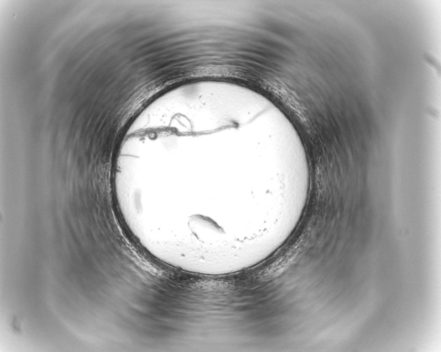 X0000093441033200711021050