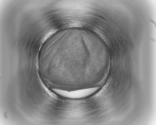 X0000093441034200711021050