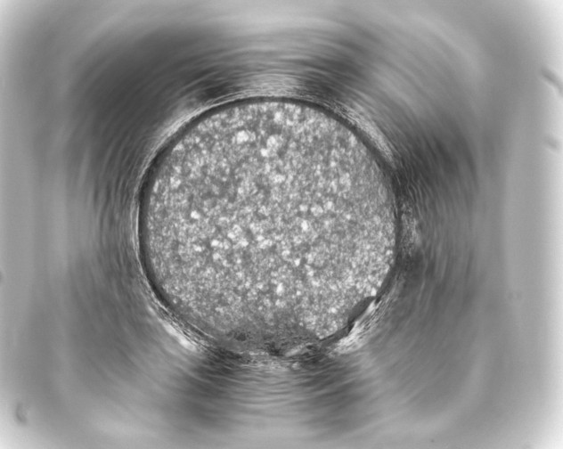 X0000093441035200711021050