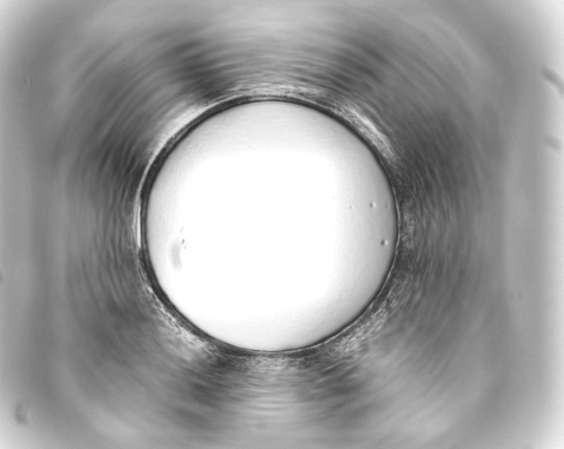 X0000093441036200711021050