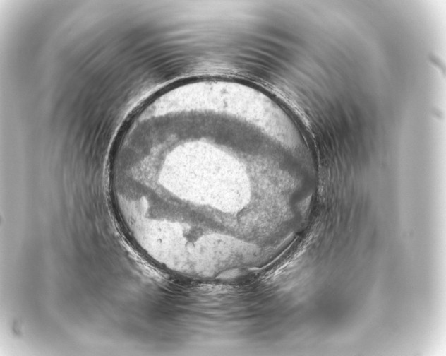 X0000093441037200711021050