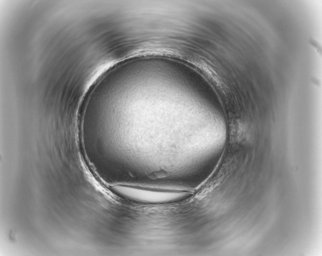 X0000093441038200711021050