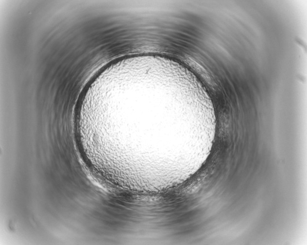 X0000093441039200711021050