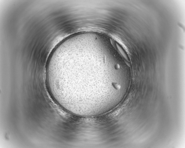 X0000093441040200711021050