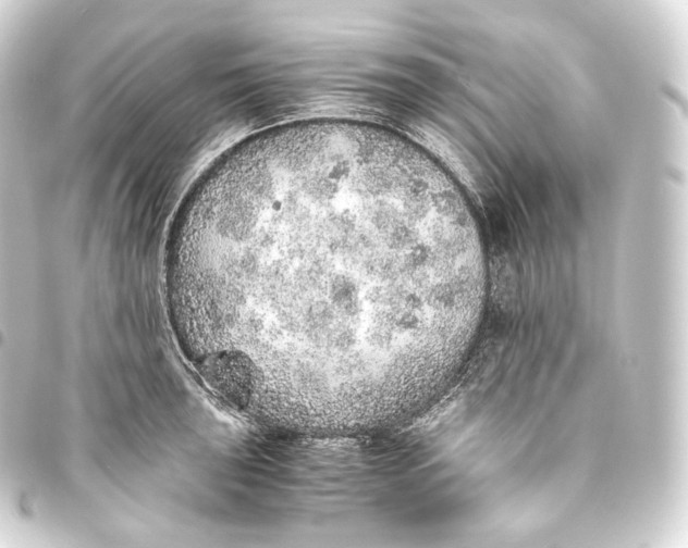 X0000093441043200711021050