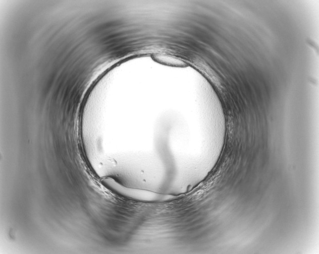 X0000093441044200711021050