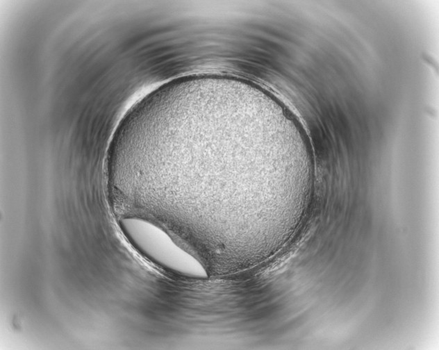 X0000093441045200711021050