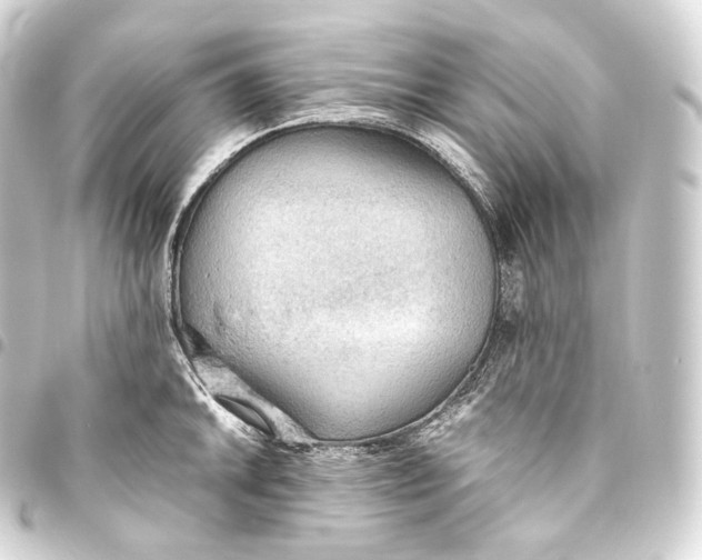 X0000093441046200711021050