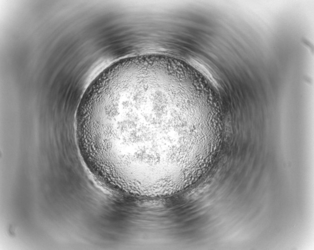 X0000093441047200711021050