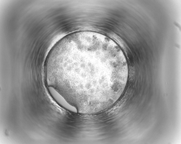 X0000093441048200711021050