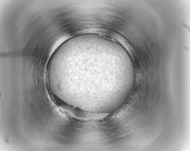 X0000093441050200711021050