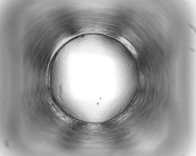 X0000093441052200711021050