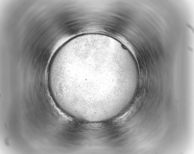 X0000093441053200711021050