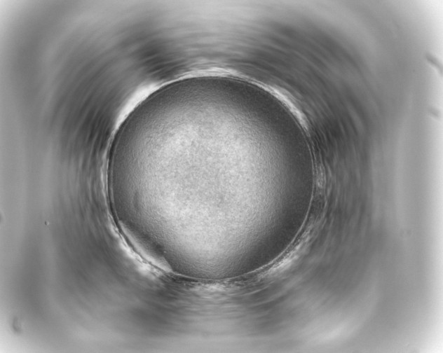 X0000093441054200711021050