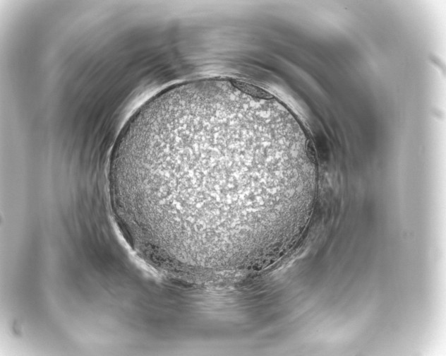 X0000093441055200711021050