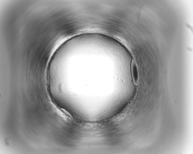 X0000093441056200711021050