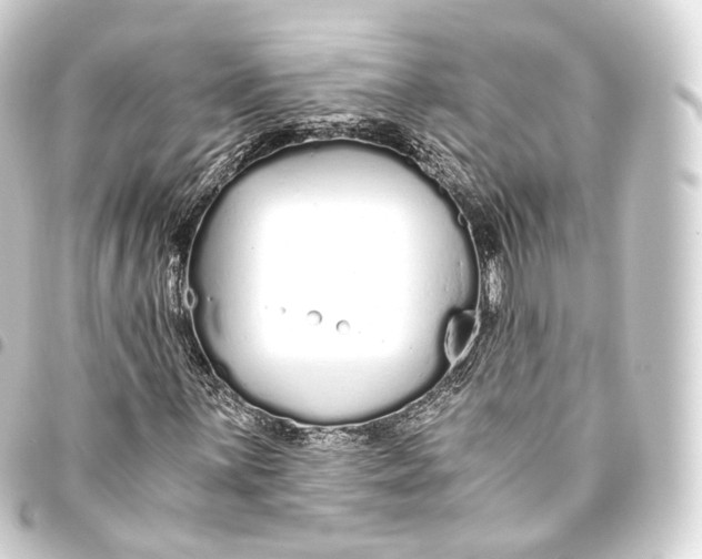 X0000093441059200711021049