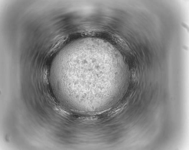 X0000093441060200711021049