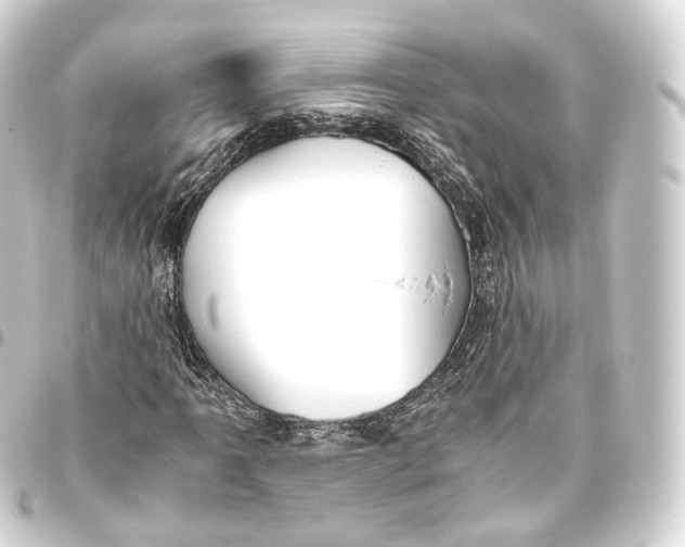 X0000093441061200711021049