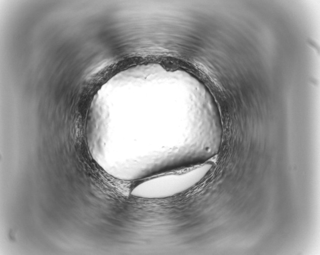 X0000093441063200711021049