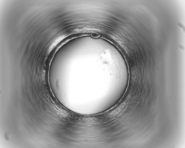 X0000093441066200711021049