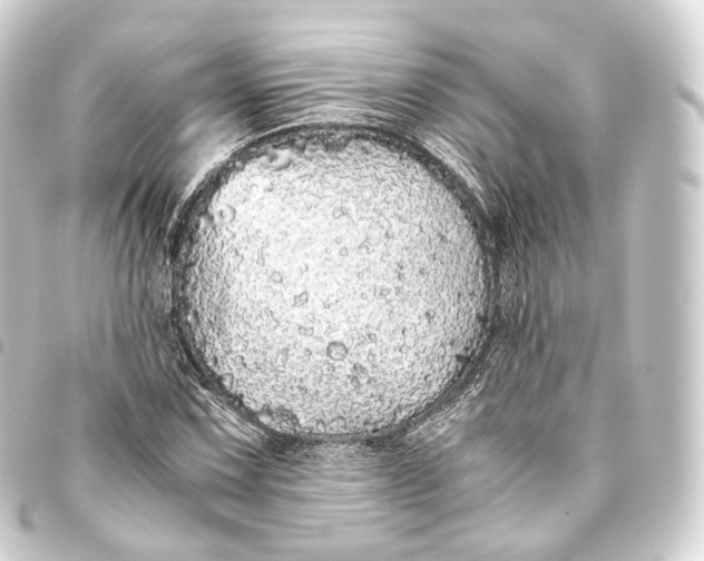 X0000093441067200711021049