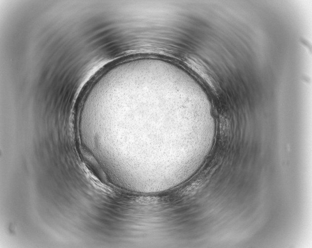 X0000093441068200711021049