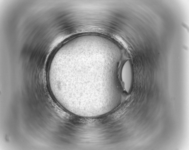 X0000093441072200711021049