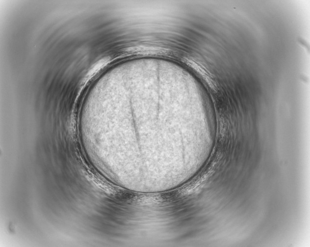 X0000093441074200711021049