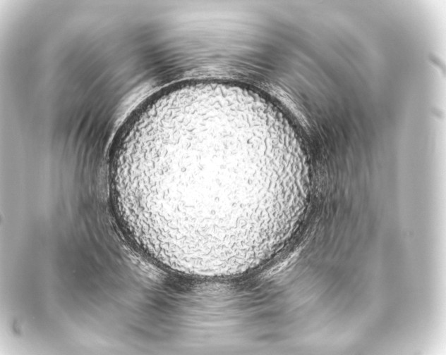 X0000093441075200711021049