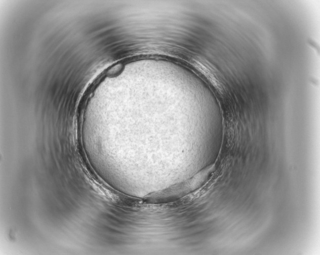 X0000093441076200711021049