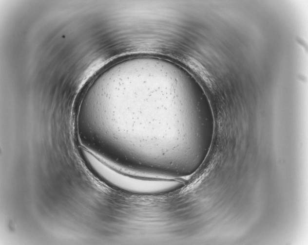 X0000093441077200711021049