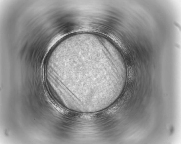 X0000093441078200711021049