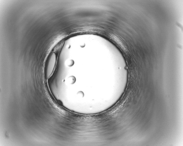 X0000093441079200711021049