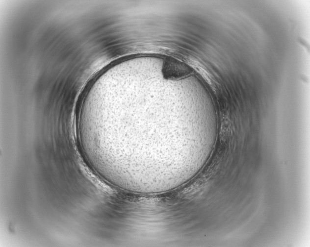 X0000093441080200711021049