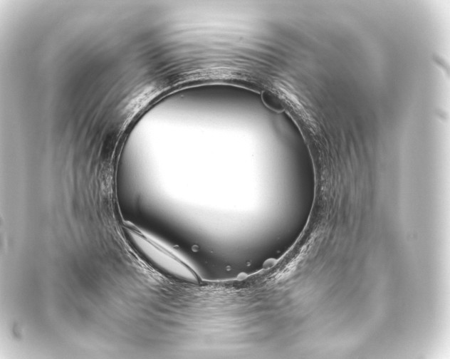 X0000093441081200711021049