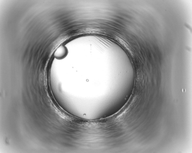 X0000093441082200711021049