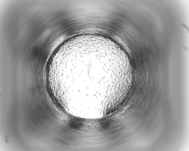 X0000093441083200711021049