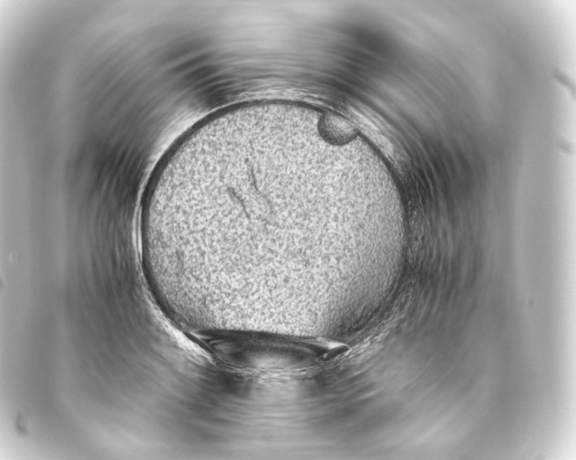 X0000093441084200711021049