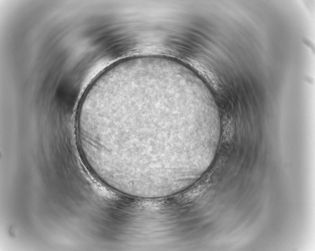 X0000093441086200711021049