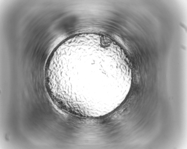 X0000093441087200711021049