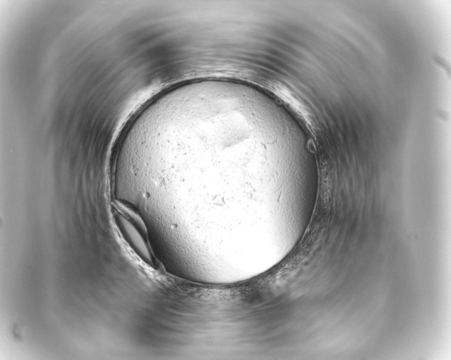 X0000093441088200711021049