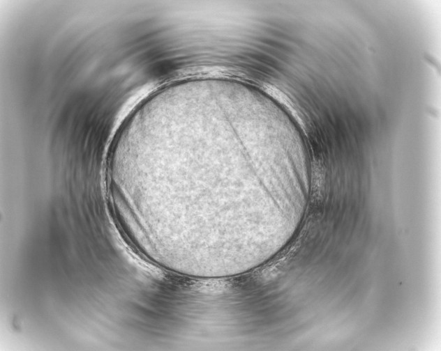 X0000093441090200711021049