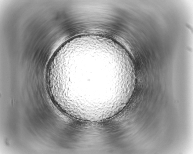 X0000093441091200711021049