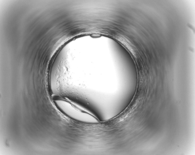 X0000093441093200711021049